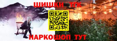 спайс Гай