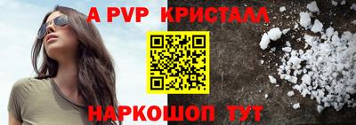 спайс Гай