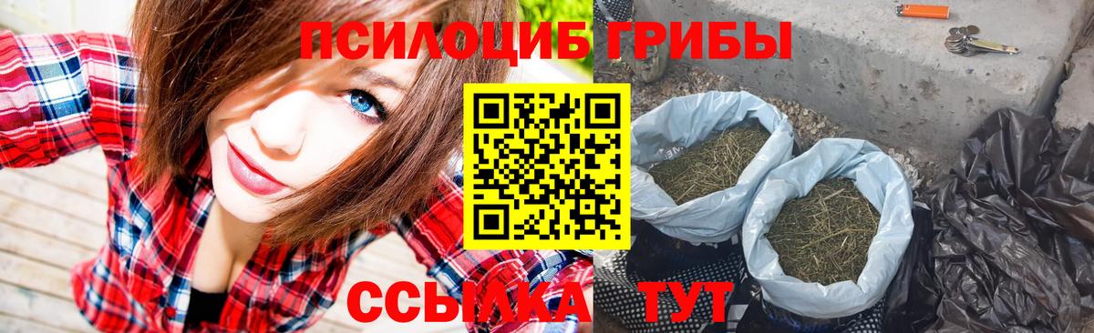 продажа наркотиков  Вход с VPN  Нефтекамск  Галлюциногенные грибы GOLDEN TEACHER 