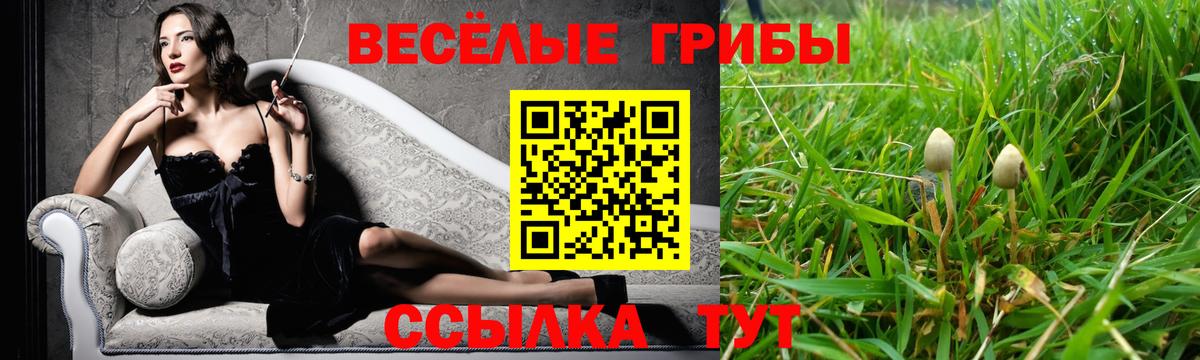 Галлюциногенные грибы Psilocybe Нефтекамск